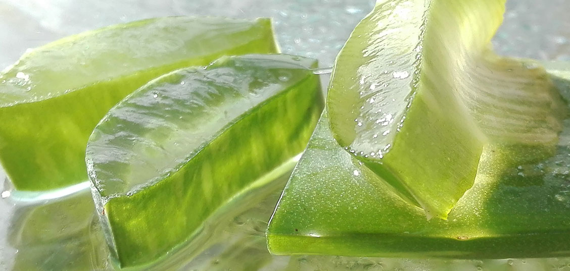 Aloe-Vera Produkte selber machen